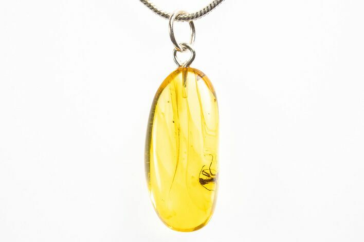 Polished Baltic Amber Pendant (Necklace) - Contains Ant! #312216